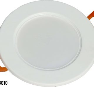 BS 3010